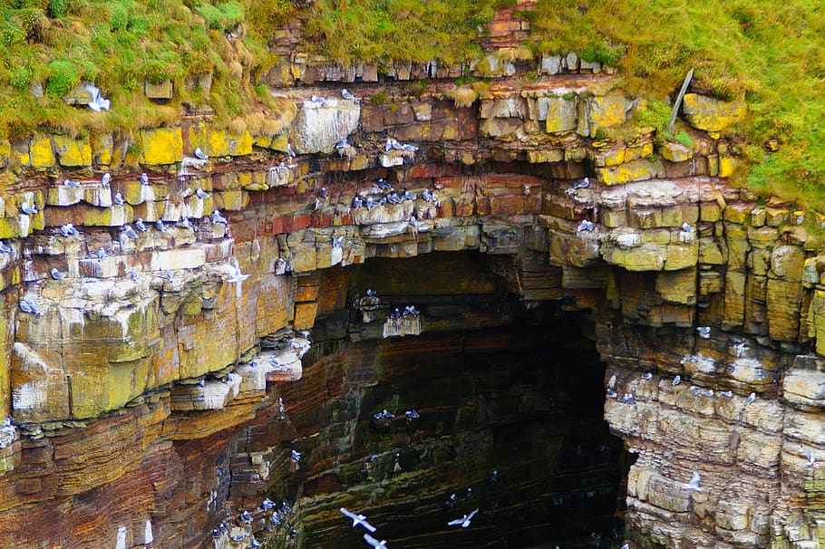 gulls rock, erosion, cliff, cave, hatchery, scotland, day, no people, HD wallpaper