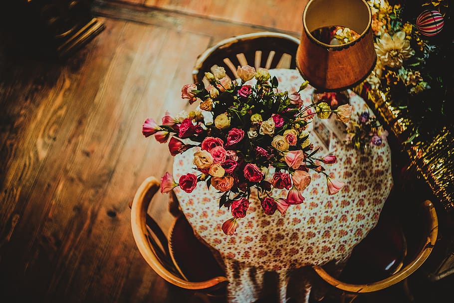 flower, flowering plant, indoors, freshness, high angle view HD wallpaper