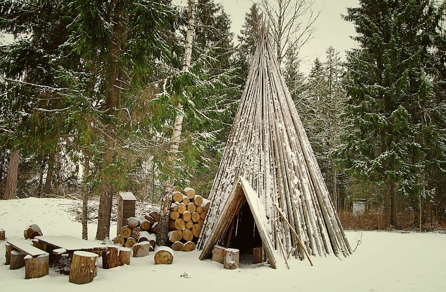 Brown Epi Hat, cold, daylight, daytime, environment, fir trees HD wallpaper