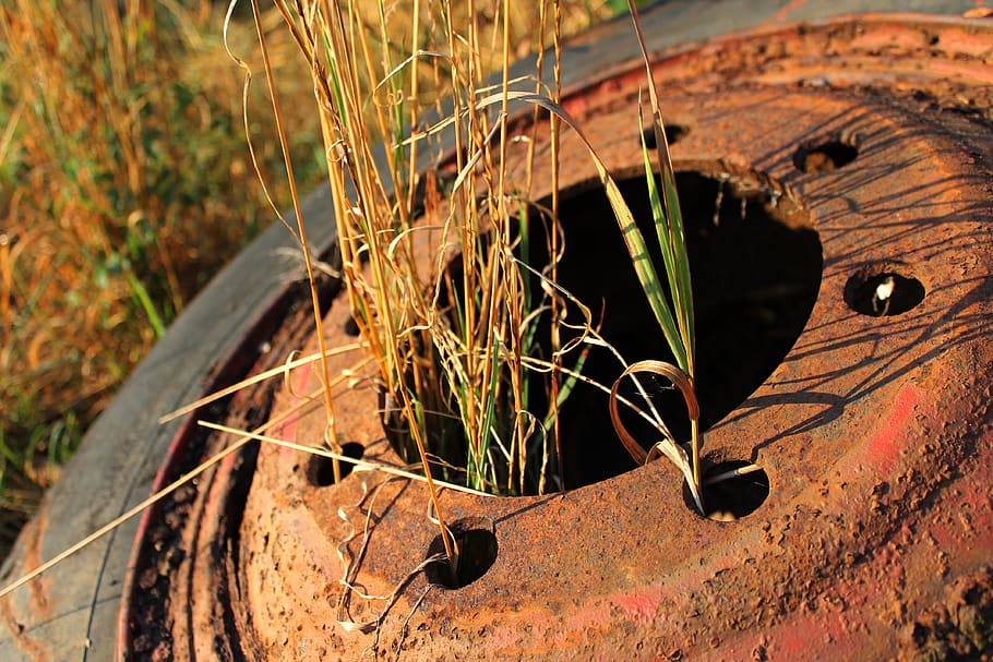 rust, wheel, metal, old, rusty, retro, vehicle, iron, close up HD wallpaper