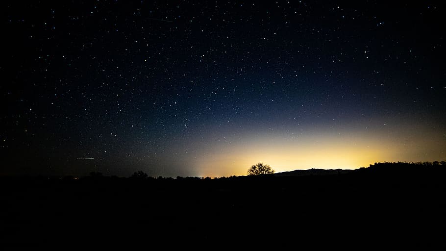 silhouette of tree, desert, starry sky, night time, sunlight HD wallpaper