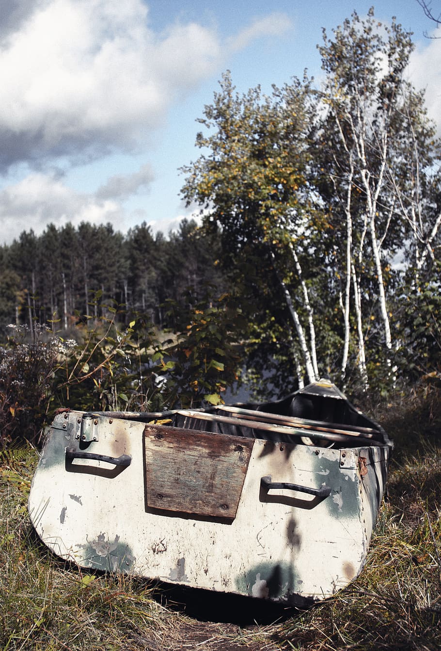 gray canoe near trees, transportation, dinghy, watercraft, vessel HD wallpaper