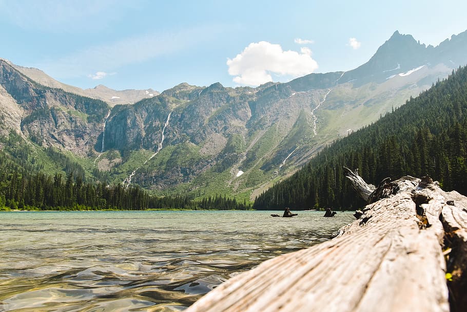 green trees covered mountain, lake, log, trunk, sky, cloud, forest HD wallpaper