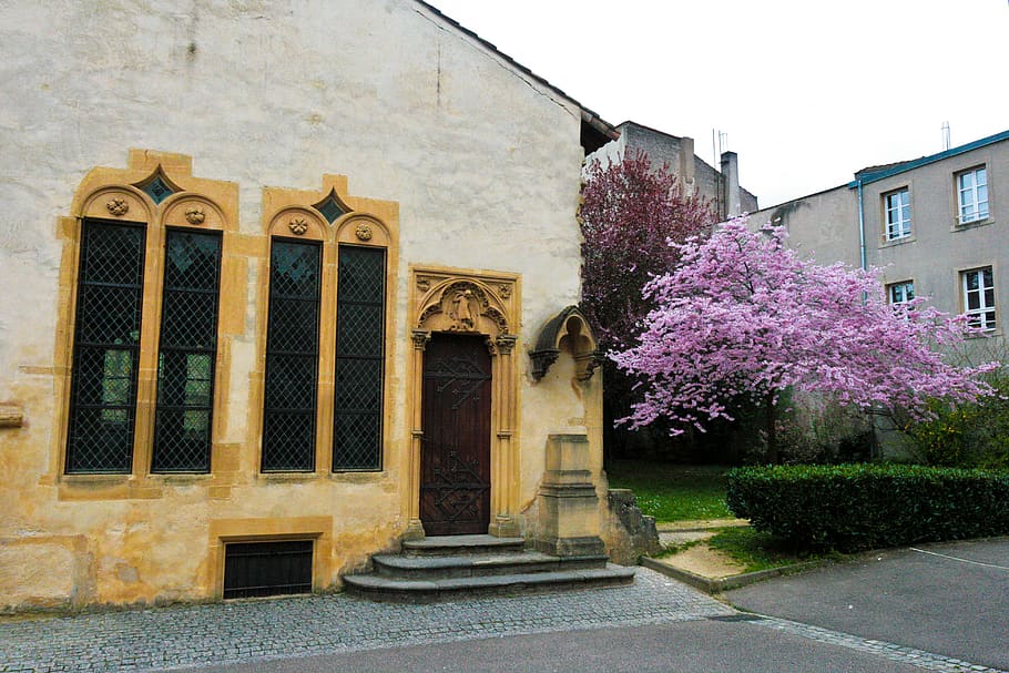 france, metz, tree, spring, yellow, window, house, medieval HD wallpaper