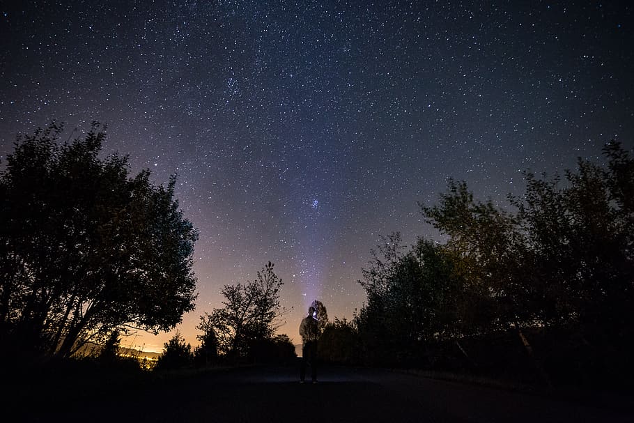 trees under starry skies, nature, outdoors, human, person, space HD wallpaper