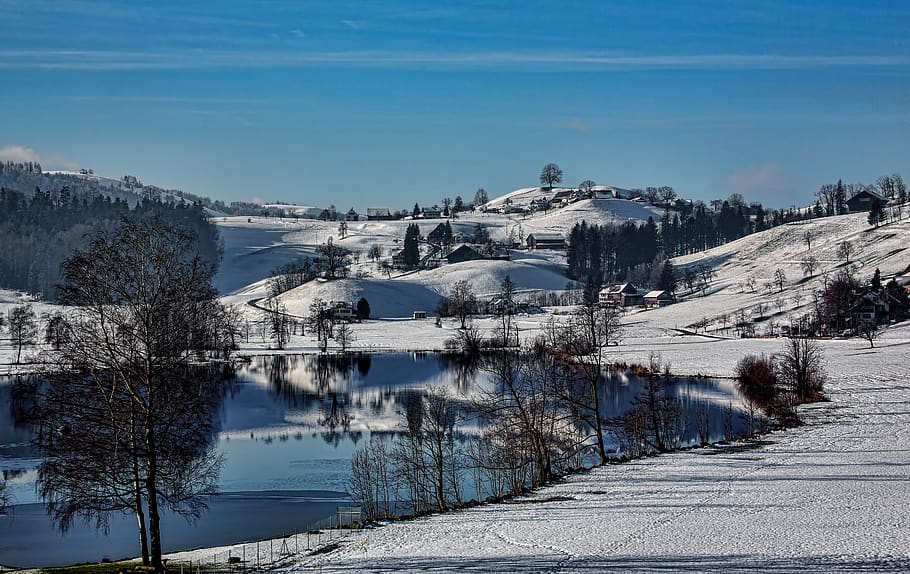 switzerland, samstagern, forest, snow, reflection, hill, tree HD wallpaper