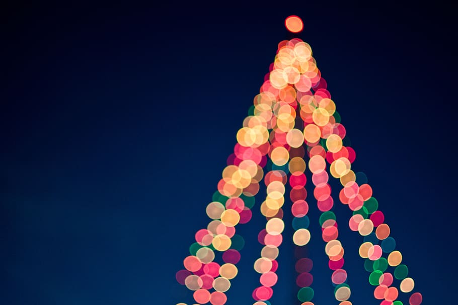 christmas, tree, lights, dark, lighting, bokeh, celebration HD wallpaper