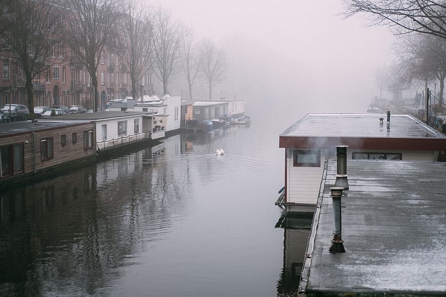 houses during daytime, water, nature, weather, outdoors, amsterdam HD wallpaper