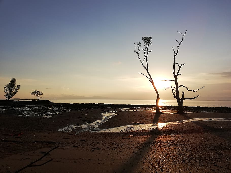 sea, sand, sunset, in the sand, the coast, the tropics, sky HD wallpaper