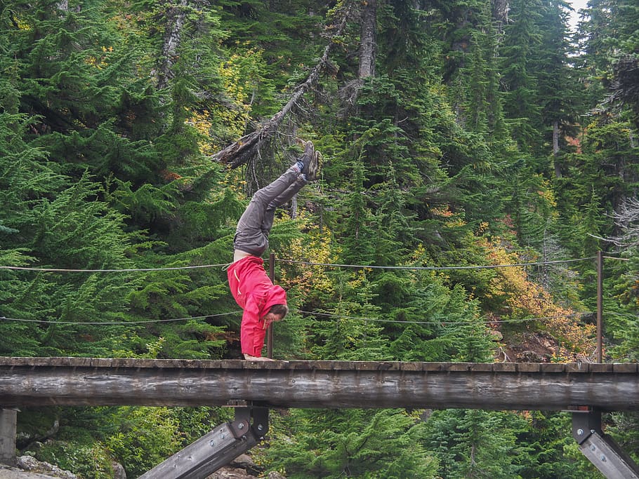 human, person, tree, plant, outdoors, canada, whistler, bc HD wallpaper