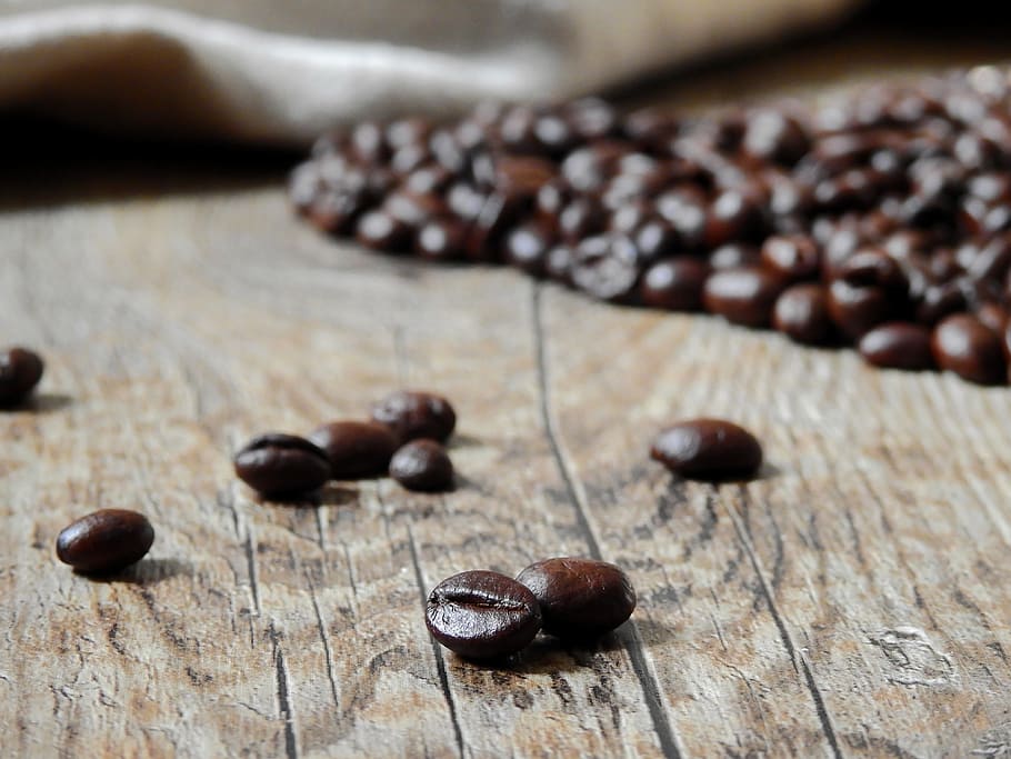 Shallow Focus Photo of Coffee Beans, aroma, aromatic, caffeine HD wallpaper