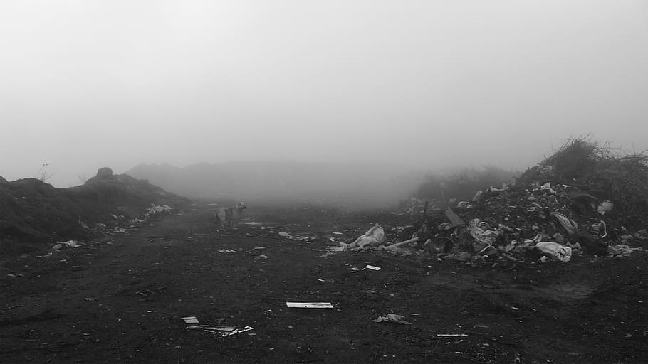 turkey, tekirdağ, fog, environment, sky, nature, architecture HD wallpaper