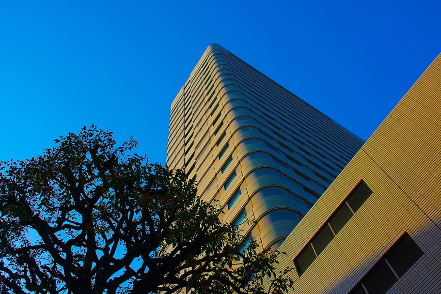 High Rise Building B, architecture, low angle shot, perspective HD wallpaper