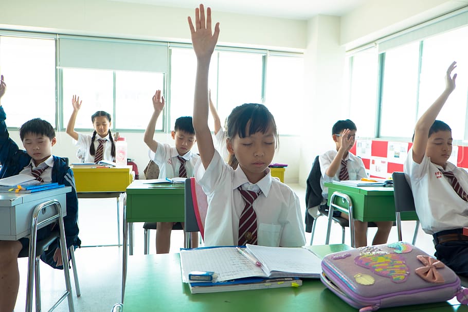 children raising their hands, accessories, accessory, tie, school