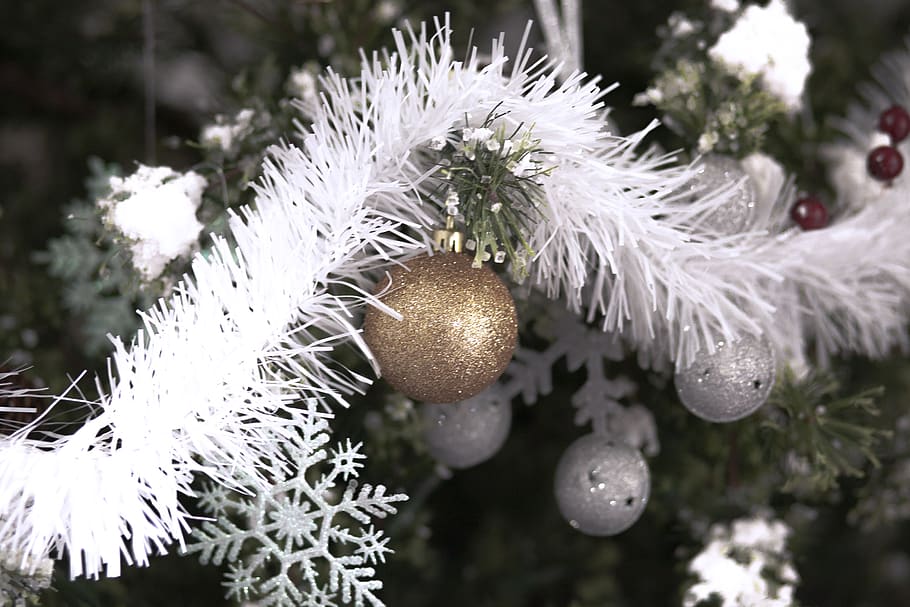 tree, plant, focus on foreground, close-up, no people, freshness HD wallpaper