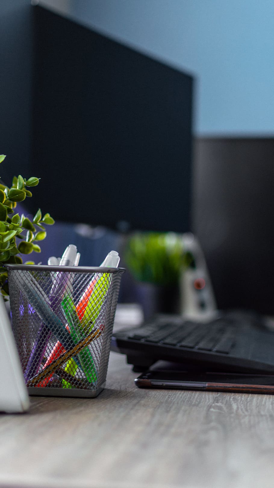 assorted-color pen on organizer, flora, vase, pottery, potted plant HD wallpaper
