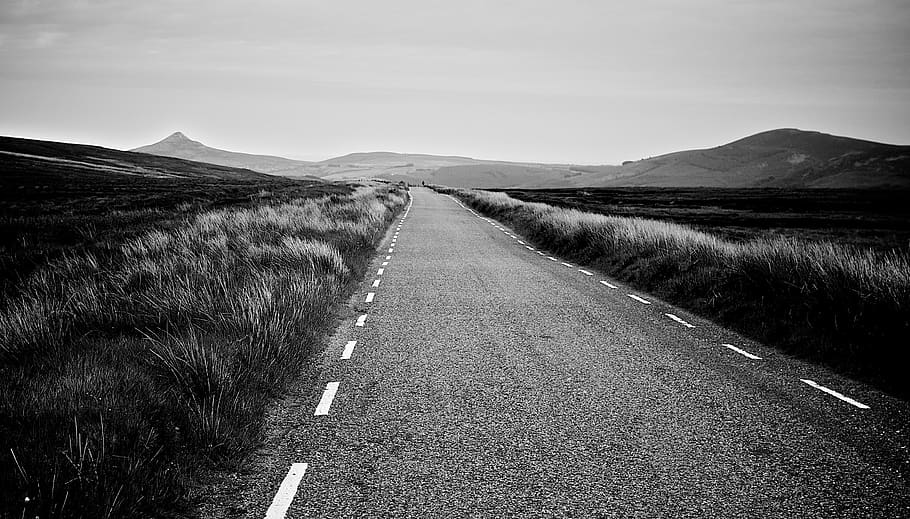 road, rural, country, empty, fields, grass, plants, mountains HD wallpaper