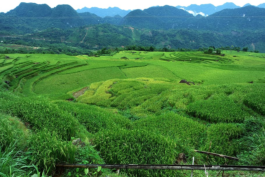 vietnam, pù luông nature reserve, south east asia, mountains, HD wallpaper