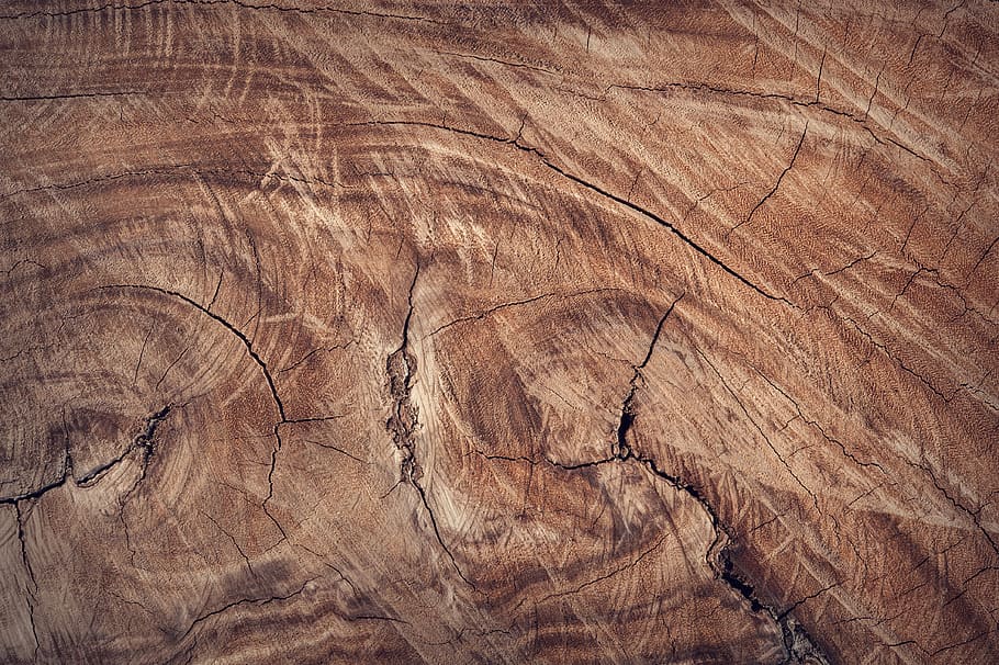 Brown Wood Surface, close-up, HD wallpaper, texture, backgrounds HD wallpaper