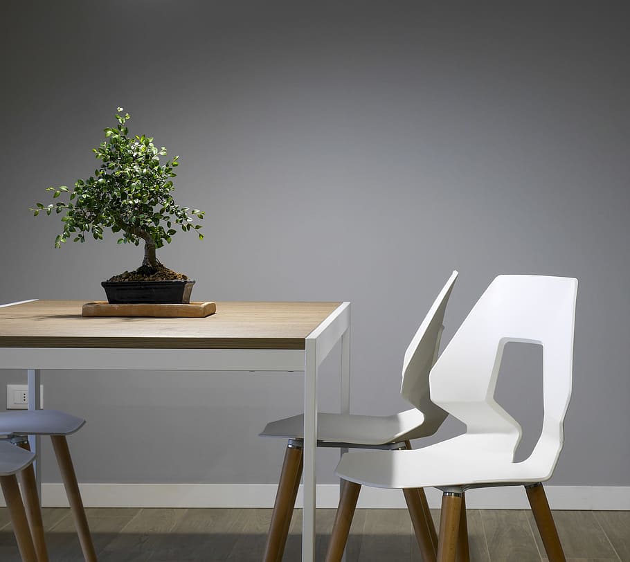 white and brown wooden table and chair set, modern, minimal, plant