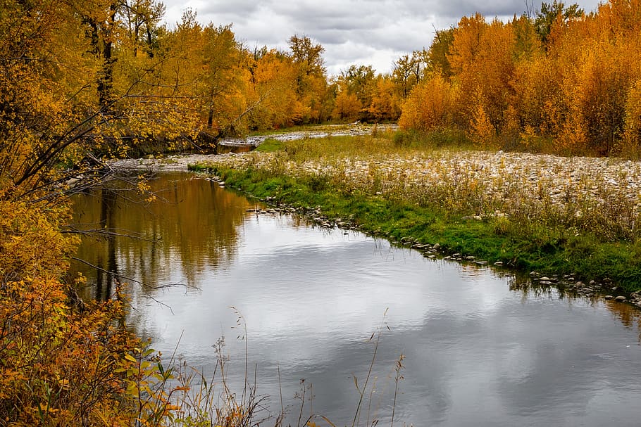 nature, autumn, fall, stream, river, landscape, mood, colorful HD wallpaper