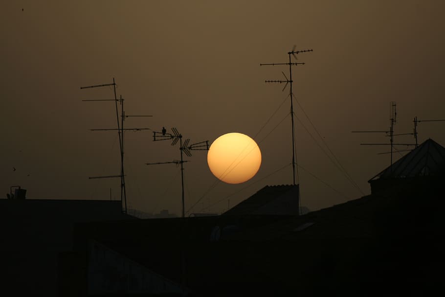 sun, sunset, sun matt, swallows, dove, antennas, roofs, yellow HD wallpaper