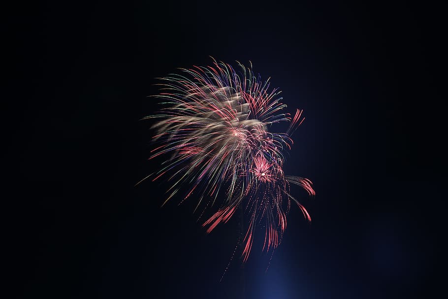 fireworks under night sky, celebration, explosion, explosive HD wallpaper