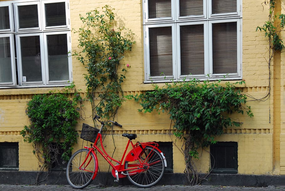 house, window, architecture, street, building, bicycle, urban HD wallpaper