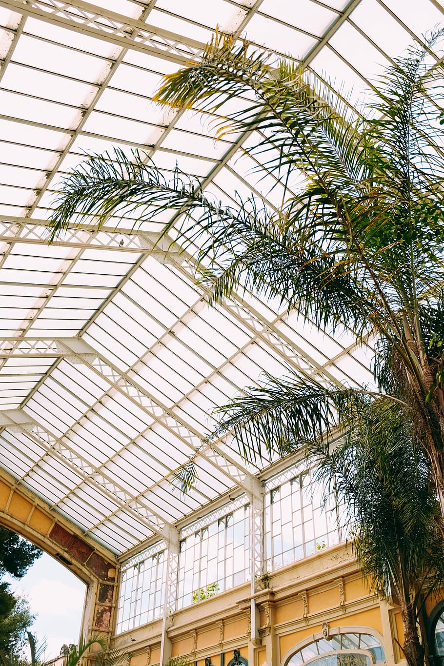 architecture, building, window, skylight, porch, patio, arecaceae HD wallpaper
