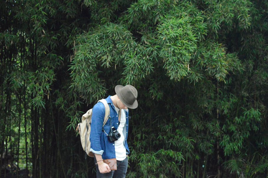colombia, plant, tree, green color, standing, one person, growth HD wallpaper