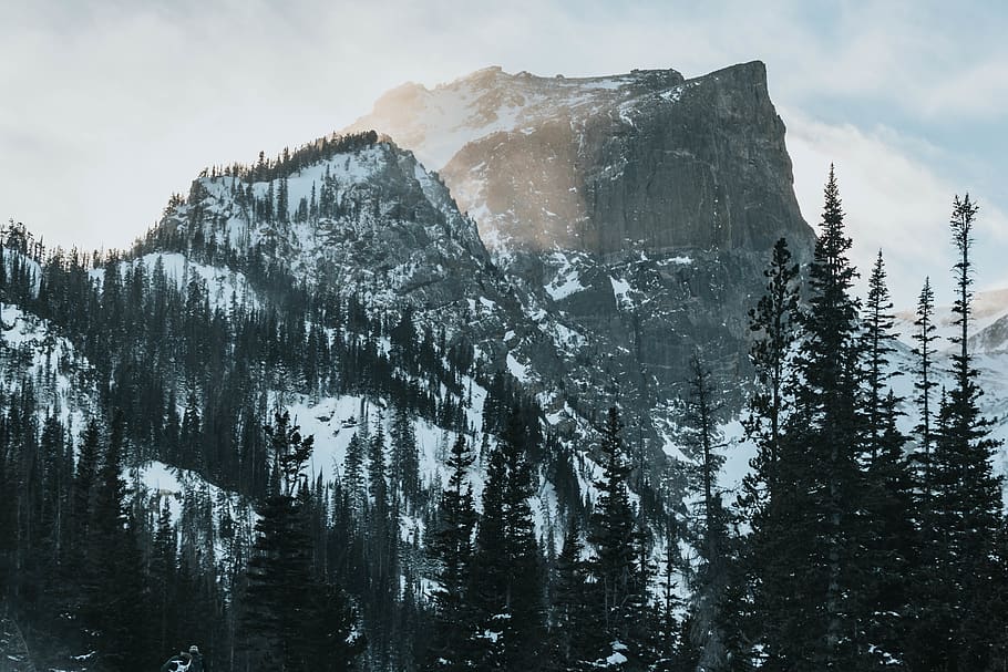 rock formations and trees, beauty in nature, mountain, cold temperature HD wallpaper