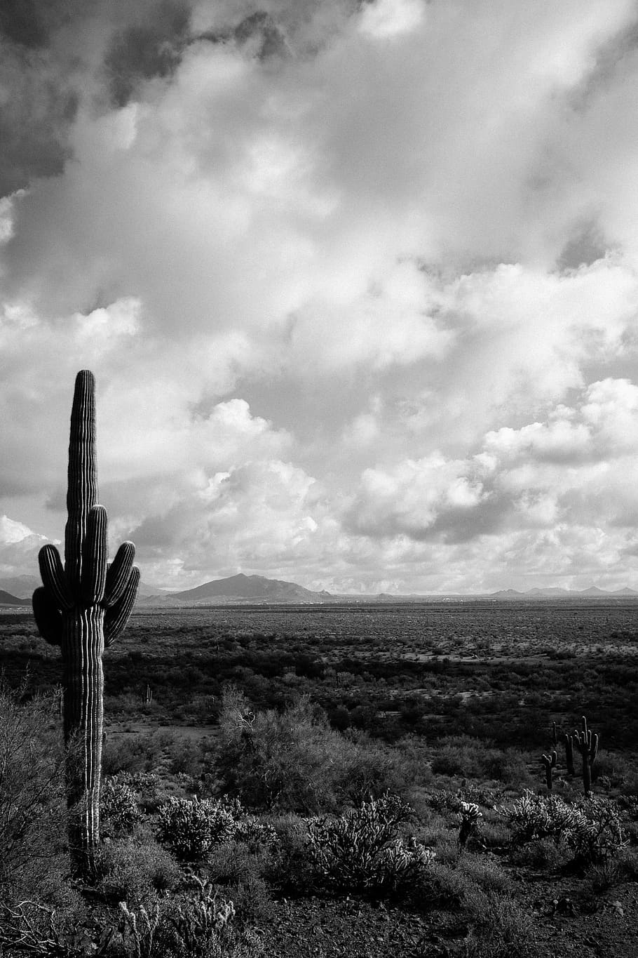 Arizona sky фото слив