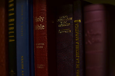 assorted book on focus photography, furniture, bookcase, méxico HD wallpaper