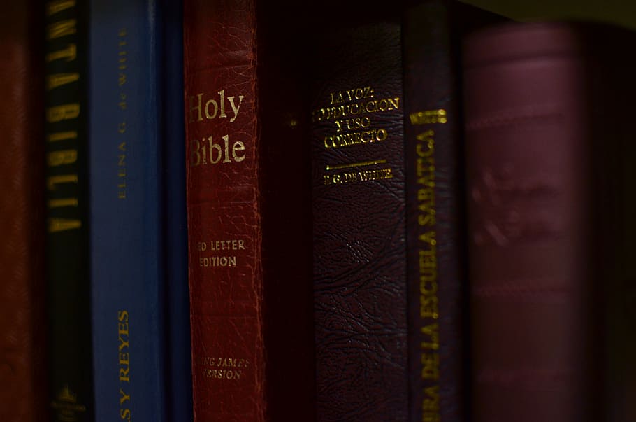 assorted book on focus photography, furniture, bookcase, méxico HD wallpaper
