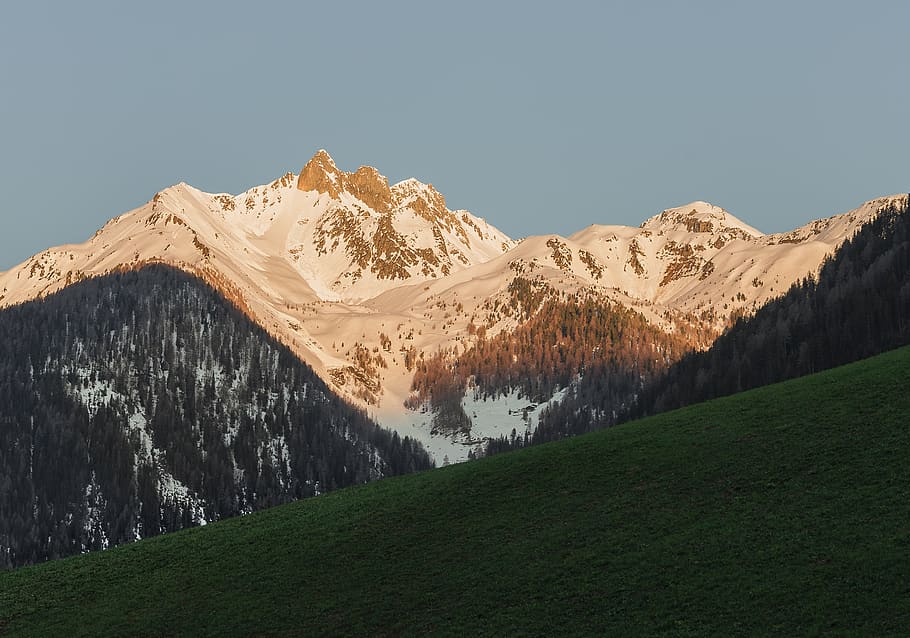 White and Gray Mountains, alps, conifer, daylight, landscape HD wallpaper