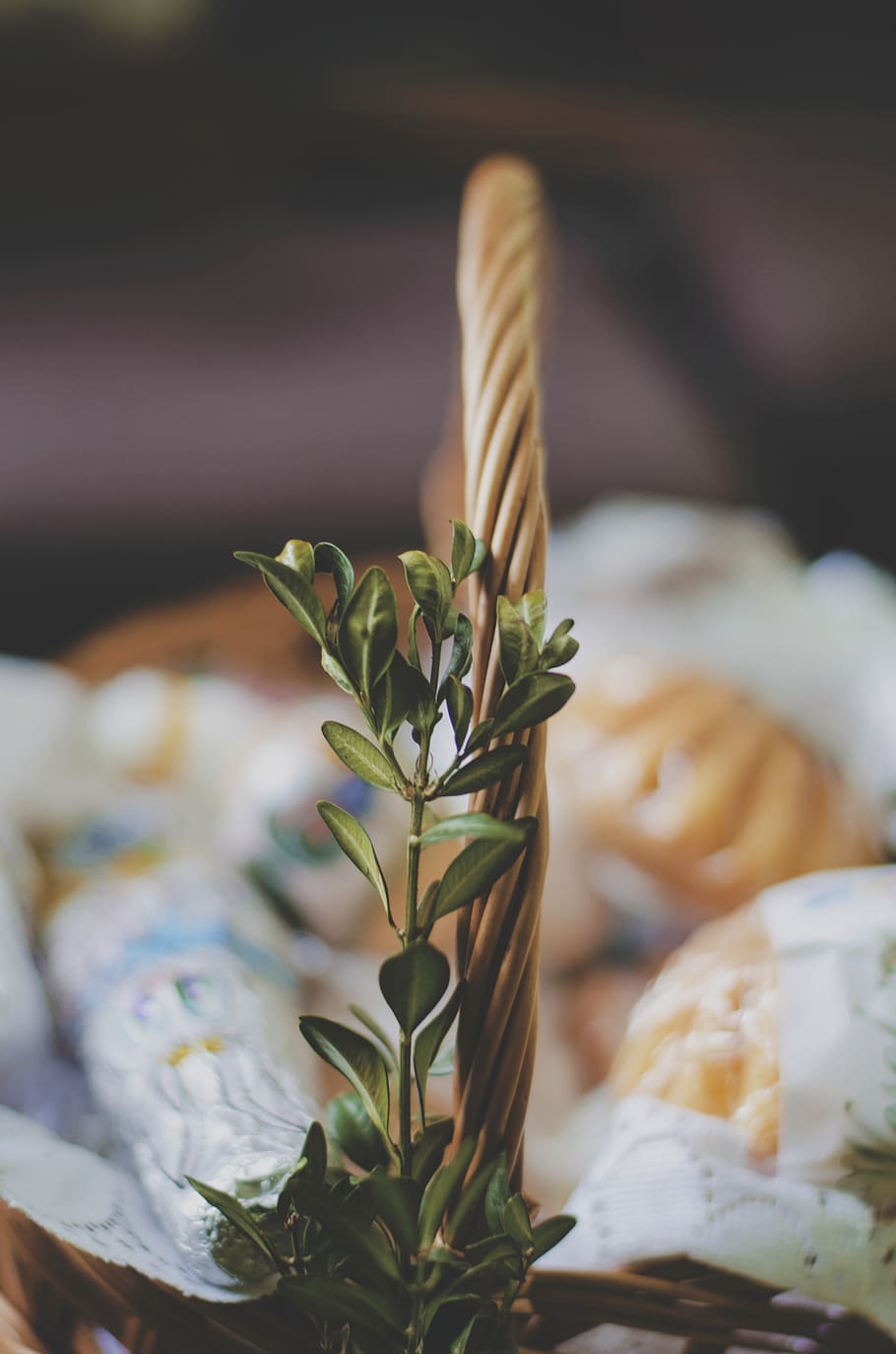 basket, boxwood, easter, nature, plant, close-up, freshness HD wallpaper