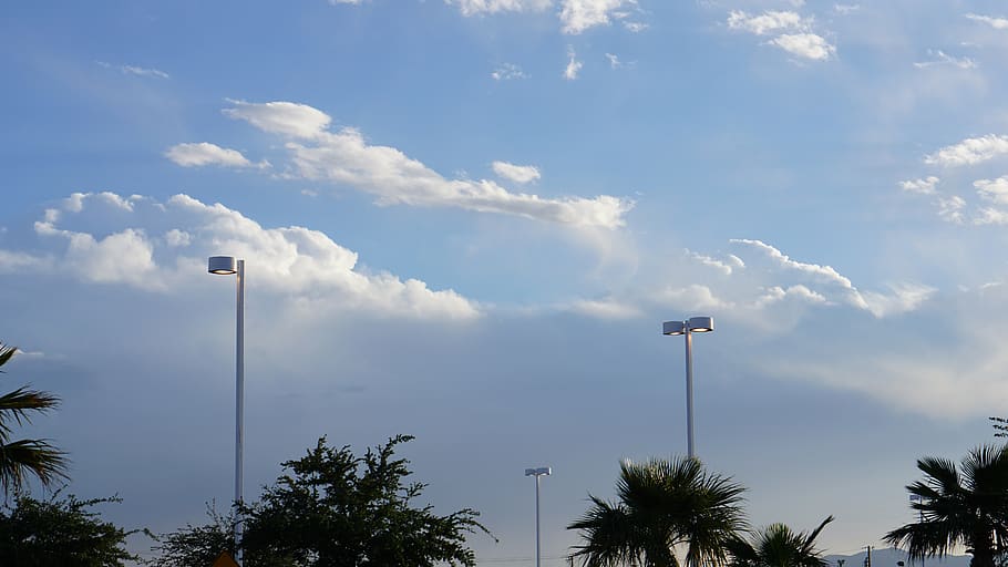 cloud, palm, tree, lampost, parking lot, sky, cloudy, dusk HD wallpaper