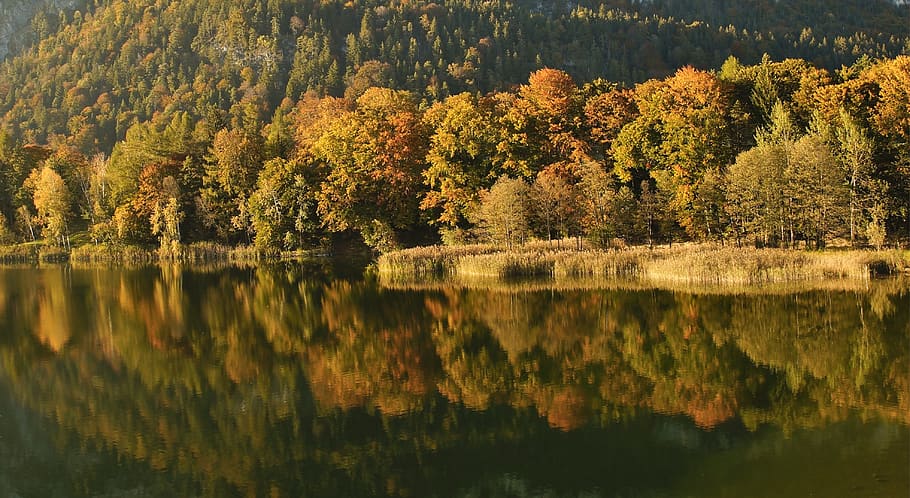 mirroring, reflection, water, lake, landscape, sun, romantic HD wallpaper