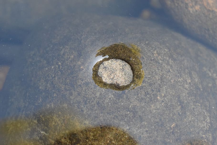 water, river, roche, drop, nature, no people, close-up, day HD wallpaper