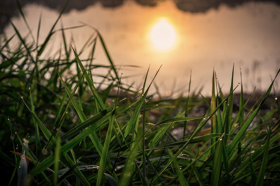sun, water, sky, beach, sunset, nature, landscape, sea, dusk HD wallpaper