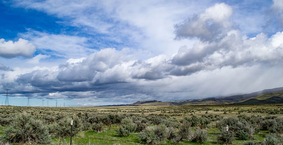 Green Trees and Grass Field Scenery, blue sky, clouds, daylight HD wallpaper