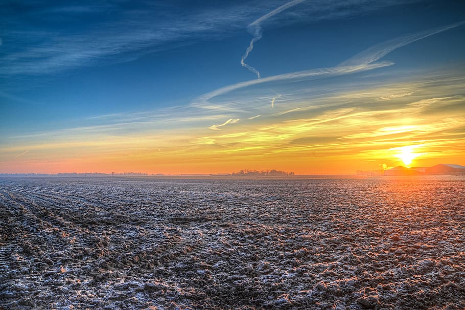 Brown Field during Sunset, clouds, dawn, nature, sky, sunrays HD wallpaper