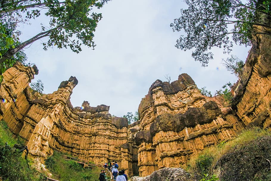 Low Angle View of Brown Ruins Near Green Leaf Trees, adventure HD wallpaper