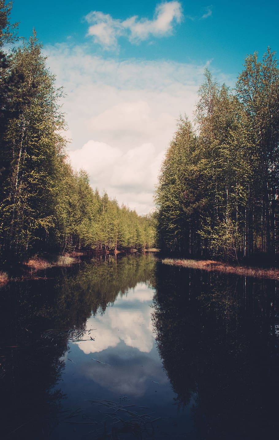 lake, river, water, reflection, trees, forest, woods, nature HD wallpaper