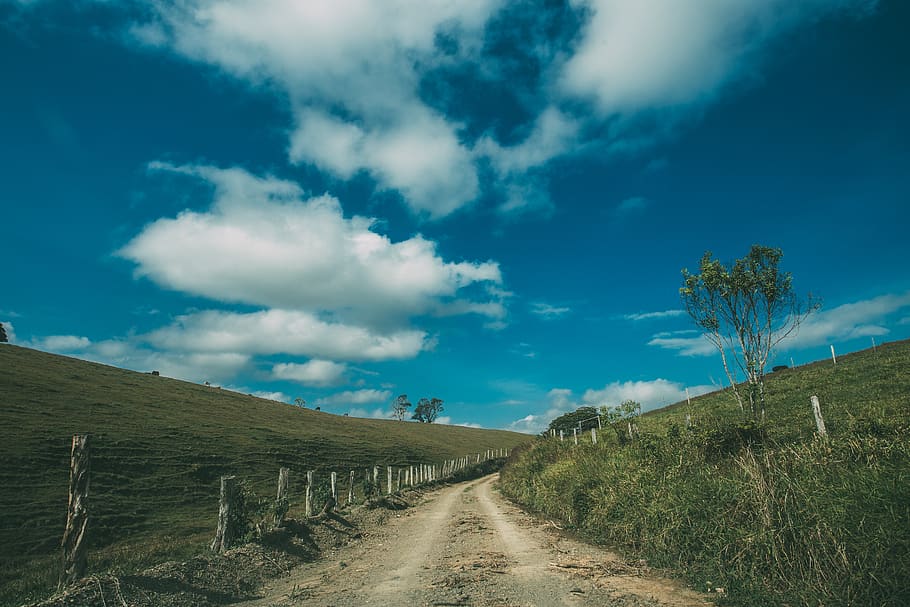 Green Trees, clouds, daylight, environment, field, grass, grassland HD wallpaper