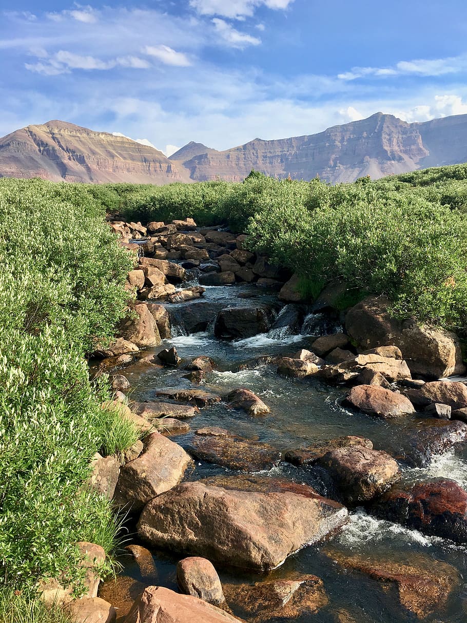 stream, mountain, river, wilderness, scenic, outdoors, rocks HD wallpaper