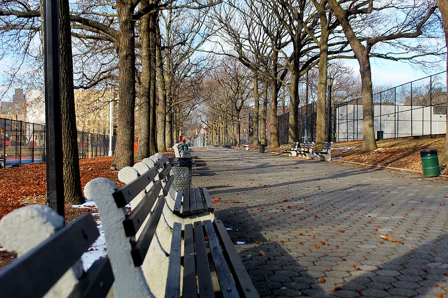 park, bench, sitting, leaves, outdoors, alone, seat, tree, bare tree HD wallpaper