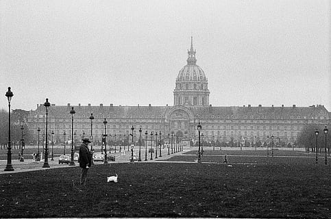 Man walking the dog black and white, above, active, activity HD wallpaper
