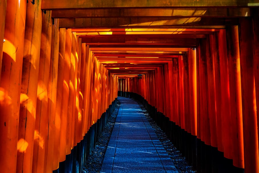 Blue and Orange Wooden Pathway, famous landmark, Fushimi Inari-taisha, HD wallpaper