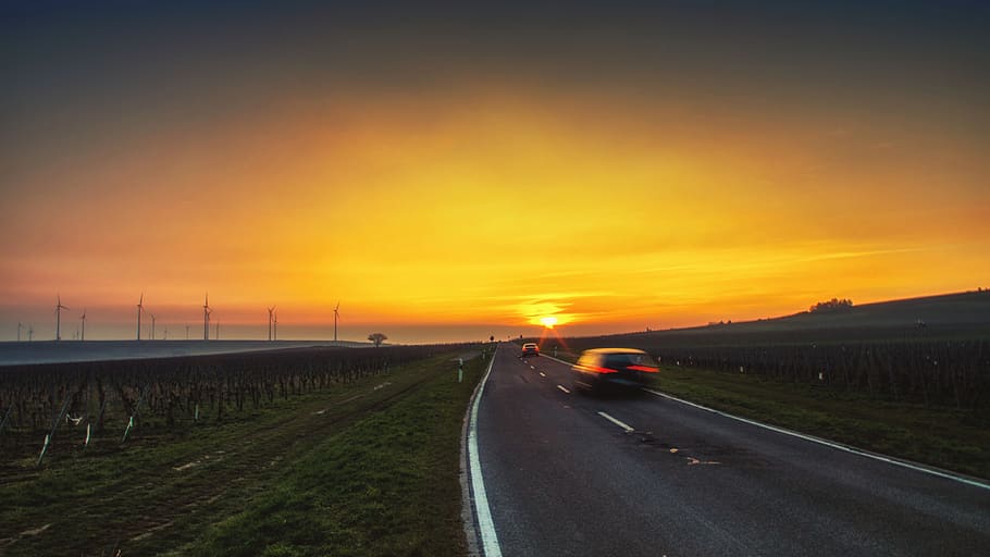 germany, mölsheim, blue, trees, road, cars, pentax, vineyards HD wallpaper